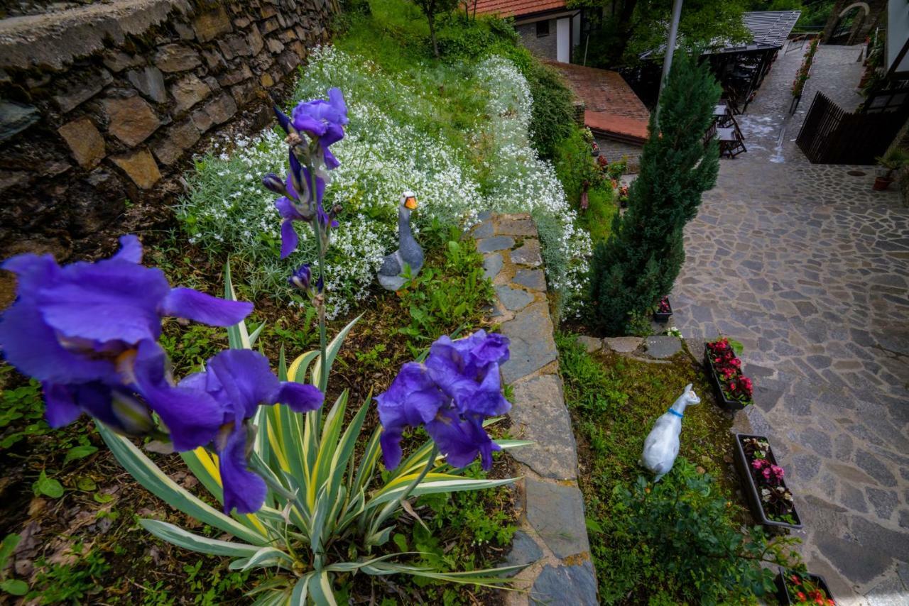 Kriva Palanka Hotel Manastir Sv. Joakim Osogovski المظهر الخارجي الصورة